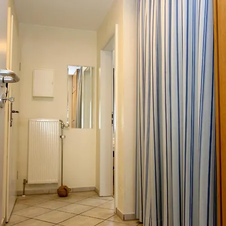 Strandmuschel Zingst